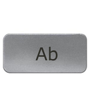 Eticheta 17,5x28mm, aluminiu, snap-in, "AB"