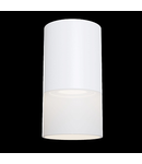 Corp de iluminat pentru tavan Pauline - H(min) 131mm, H(max) 131mm, ⌀ 64mm , White, 1 X GU10 (10W), Aluminum, Acrylic, 0.23kg