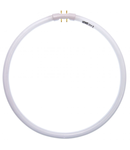 Tub fluorescent circular T5 LOHUIS, 2GX13, 40W, 300mm, 8000 ore, lumina rece