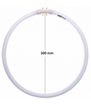 Tub fluorescent circular T5 LOHUIS, 2GX13, 40W, 300mm, 8000 ore, lumina rece