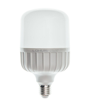 Bec LED T100 LOHUIS, forma tubulara, E27, 30W, 25000 ore, lumina rece