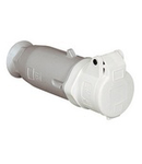 CEE EXTRA-LOW VOLTAGE Conector drept 16A 2P 20-25V 50-60HZ IP44