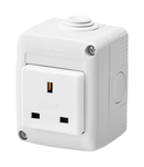 PROTECTED ENCLOSURE COMPLETE WITH SYSTEM DEVICES - WITH SOCKET-OUTLET 2P+E 13 A - Standard englez - IP40 - RGREY RAL 7035
