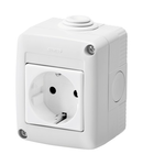 PROTECTED ENCLOSURE COMPLETE WITH SYSTEM DEVICES - WITH SOCKET-OUTLET 2P+E 16 A - GERMAN STANDARD - IP40 - GREY RAL 7035