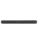 19'' CABLE MANAGEMENT PANEL - WITH BRUSHES - 1U - BLACK