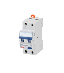 COMPACT Intrerupator diferentialcu protectie la supracurent - 2P Curba C 16A 6KA TYPE F Idn=0,03A - 2 module