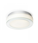 KARISMA 22 2D opal-colored sticla 230V GR10q 16W IP44