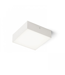 LARISA SQ 17 Plafoniera  alb 230V LED 15W 3000K