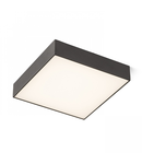 LARISA SQ 30 Plafoniera  alb 230V LED 30W 3000K