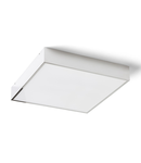 MERANO LED 35 Plafoniera  crom/mate acrylic 230V LED 24W IP44 3000K