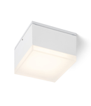 ORIN SQ Plafoniera  alb satinated acrylic 230V LED 10W IP54 3000K