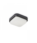 TARIS SQ 17 Corp de iluminat aparent negru plastic 230V LED 8W IP54 3000K