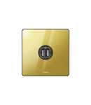 British standard double USB Synergy - Sleek Design glossy gold