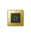 Placa suport Synergy - pentru 2 Arteor module - 1 module - Sleek Design glossy gold