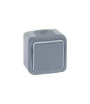 doi poli switch Plexo - IP55-IK07 - 10 AX-250 V~ - surface mounting - gri