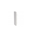 End cap pentru rigid capac DLP-S universal trunking 190x50 mm