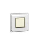 IP44 Placa Arteor - pentru British and German standards - pentru 1-module box