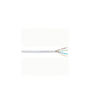 Lan cable - category 5e - F/UTP - 4 pairs - L. 500 m - LSZH sleeve