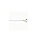 Lan cable - category 5e - U/UTP - 4 pairs - L. 305 m - PVC sleeve