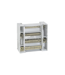 Monobloc modular distribution block - 4P - 250 A - 12 connections