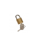 Padlock Ø5 mm DX³ - shackle type