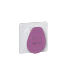 Panou montaj priza P17 - IP44 - 20/25 V~ - 16 A - 2P