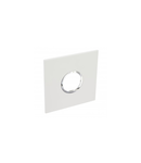 Placa Arteor - American standard - rotund - 2 module - 4''x4'' - alb