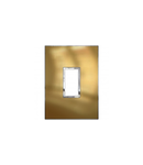 Placa Arteor - patrat - 1 vertical module - 2'' x 4'' - gold brass