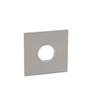 Placa Arteor - US standard - rotund - 2 module - 4''x4'' - stainless steel