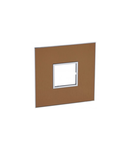 Placa Arteor - US standard - patrat - 2 module - 4''x4'' - gold brass