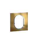 Plate British standard Arteor - rotund - 3 module 1-module - gold brass