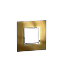 Plate British standard Arteor - patrat - 2 module - gold brass