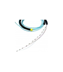 Preterminated fibra optica link OM3 LC/LC tight-buffer - 12 LC simplex - 12 LC simplex - 100 m