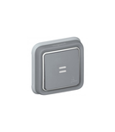 Push-button Plexo IP55 - illuminated changeover - flush mounting - gri