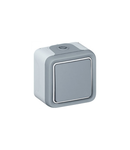 Push-button Plexo IP55 - N/O contact - 10 A - surface mounting - gri