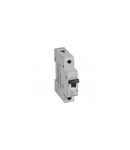 Siguranta automata MCB RX³ 6000 - 1P - 230/400 V~ - 20 A - C curba  - prong-type supply busbars