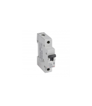 Siguranta automata MCB RX³ 6000 - 1P - 230/400 V~ - 25 A - C curba  - prong-type supply busbars