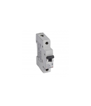 Siguranta automata MCB RX³ 6000 - 1P - 230/400 V~ - 32 A - C curba  - prong-type supply busbars