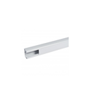 Snap-on trunking - 1 compartiment - 50 x 80 - cu capac 45 mm - 2 m - gri