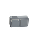 priza Plexo IP55 - BS - 13 A - 2P+E unswitched + Intrerupator cap scara - surface mounting - gri