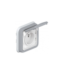 priza Plexo IP55 - Fr standard - 2P+E + shutters - flush mounting - gri