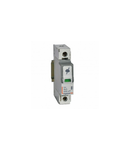 Descarcator SPD - protection of main distribution board - T1+T2 - limp 8 kA/pole - 1P