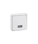 Switch Plexo 66 - 1 module - 1 way doi poli + indicator - 20 A 250 V~ - flush mounting