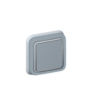 Switch Plexo IP55 - 2-way - 10 AX 250 V~ - flush mounting - gri