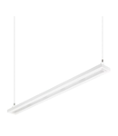 TrueLevel, suspendat SP542P LED29S/940 SRD U3 SMT L1480 WH