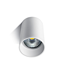 Boba ceiling luminaire 20W GU10 MR16 IP20 alb