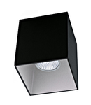 Ceiling light "Polasso" square 35W black / silver IP20