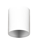 Ceiling luminaire "Polasso Pro" round 35W white IP20