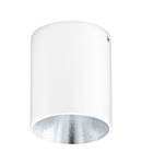 Ceiling luminaire "Polasso" round 35W white / silver IP20