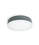 Daria II LED 21W, 4000K, 1300lm, IP65,antracit